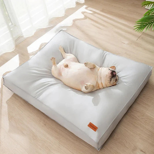 Orthopedic Dog Bed