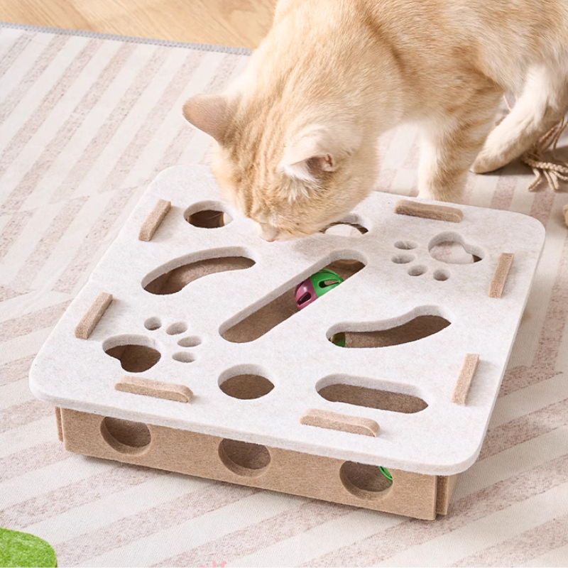 Cat Play Box