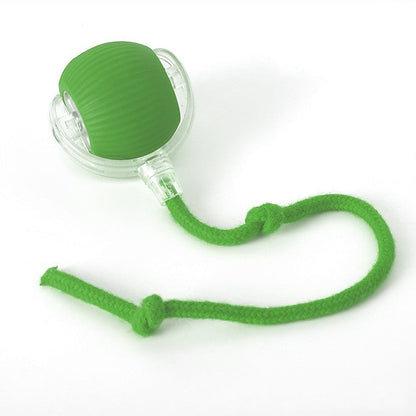 Interactive Dog Toy Ball