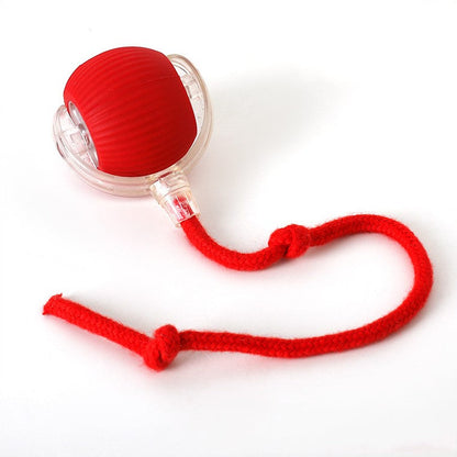 Interactive Dog Toy Ball