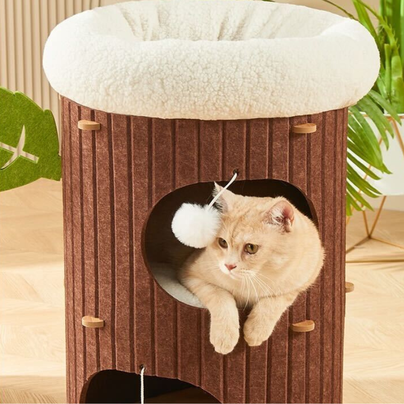 Cat Condo