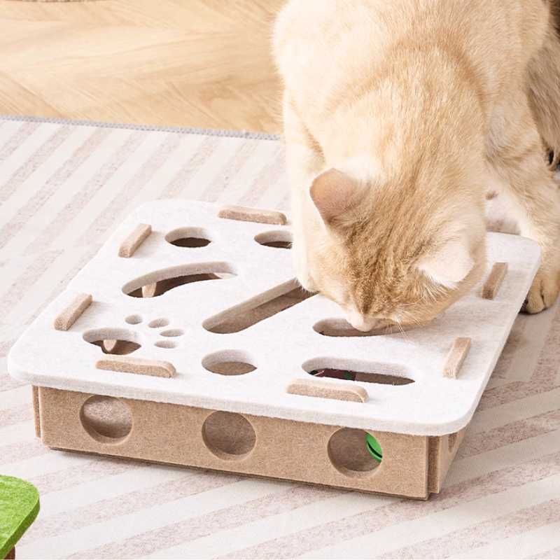 Cat Play Box