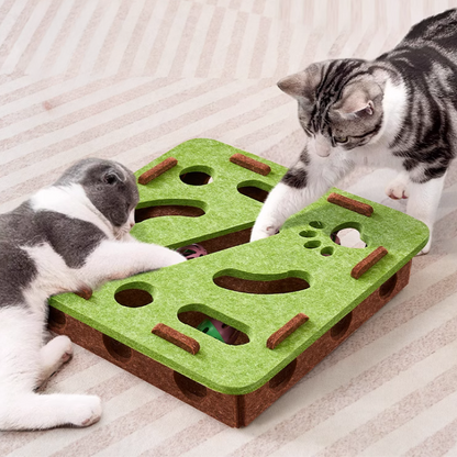 Cat Play Box