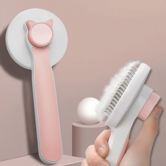 Self Cleaning Brush