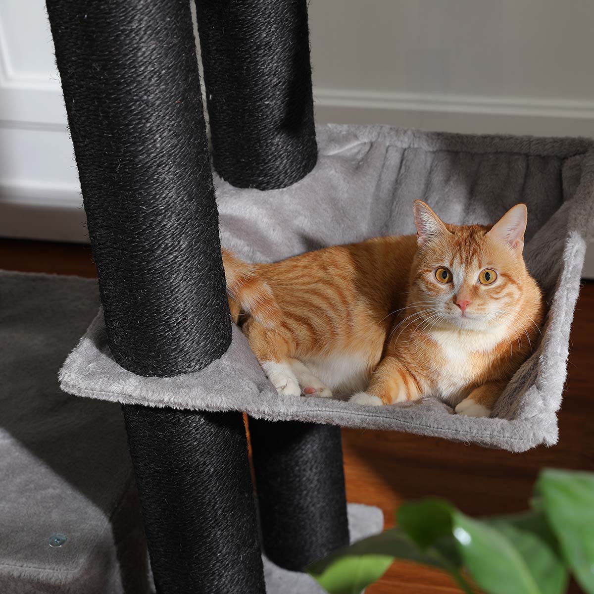 Robust XXL Cat Tree