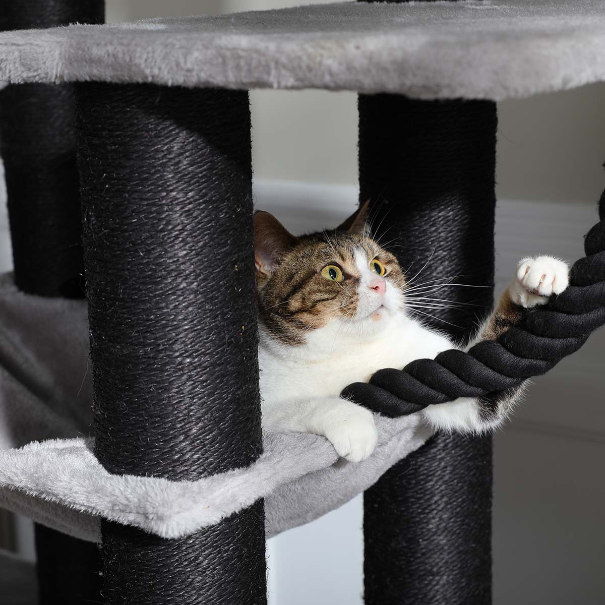 Robust XXL Cat Tree