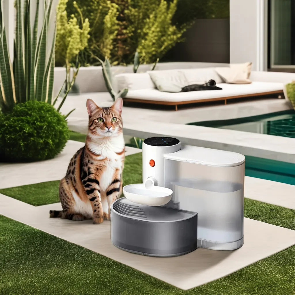 AquaFlow Cordless Pet Fountain