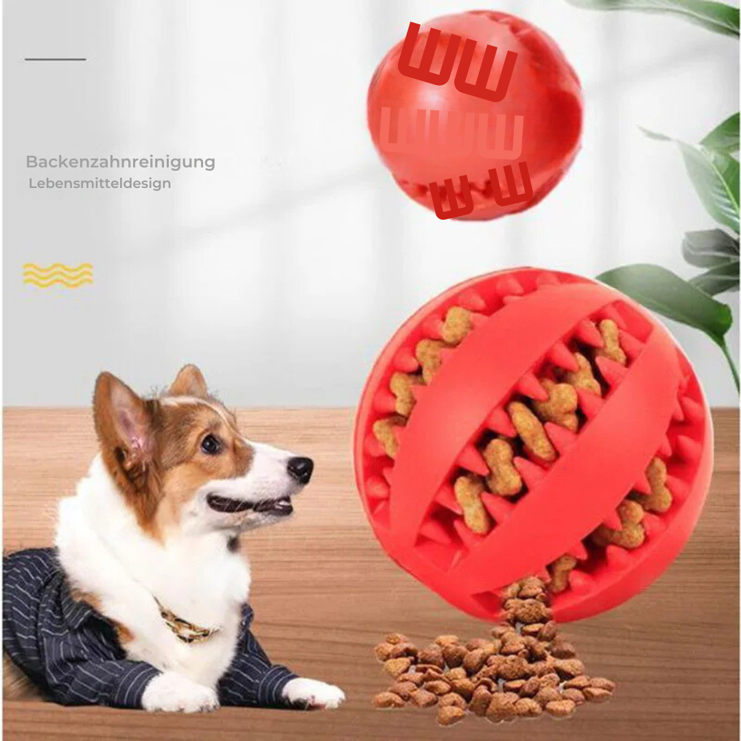 Treat Chew Ball