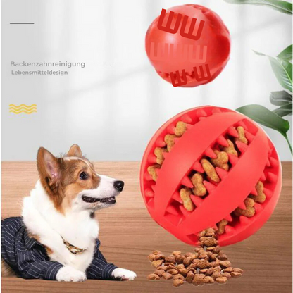Treat Chew Ball
