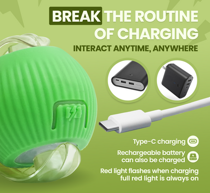 WhiskerChase Self-Scrolling Ball