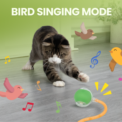 WhiskerChase Self-Scrolling Ball