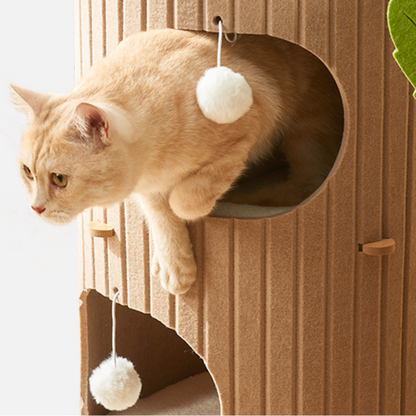 Cat Condo