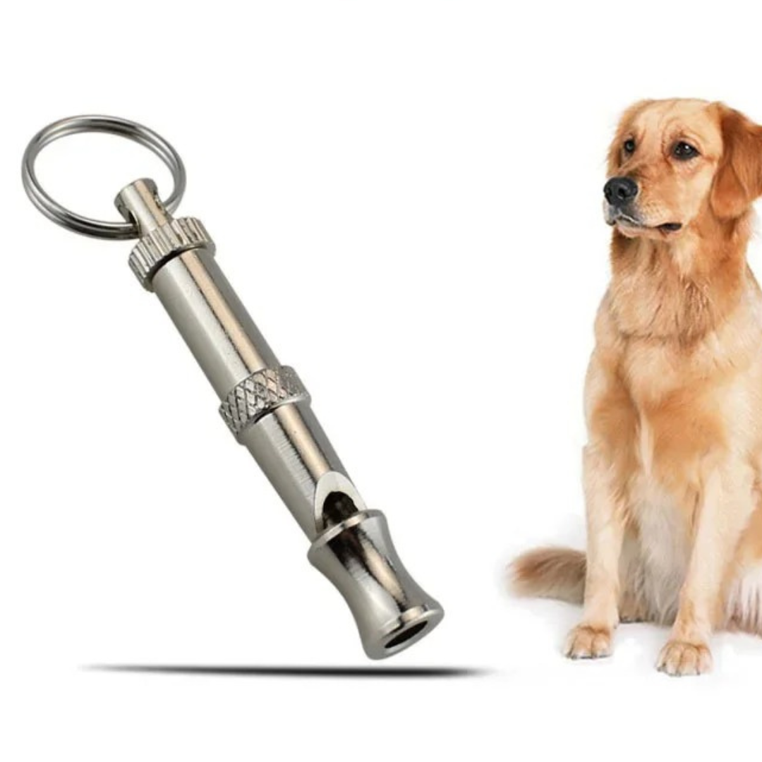 Stainless Steel Dog Whistle