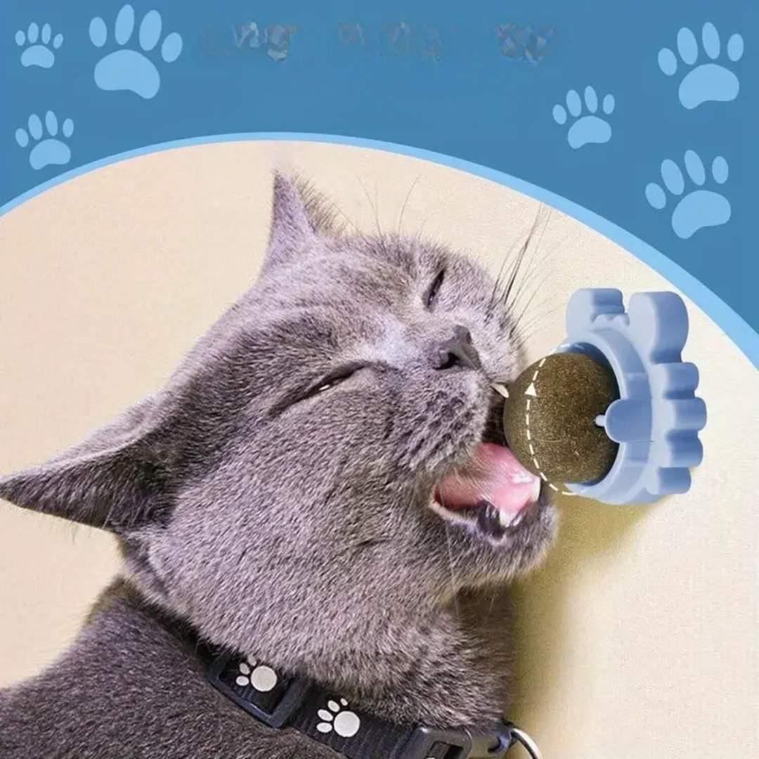 Placeble Catnip Ball