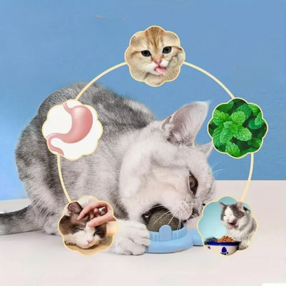 Placeble Catnip Ball