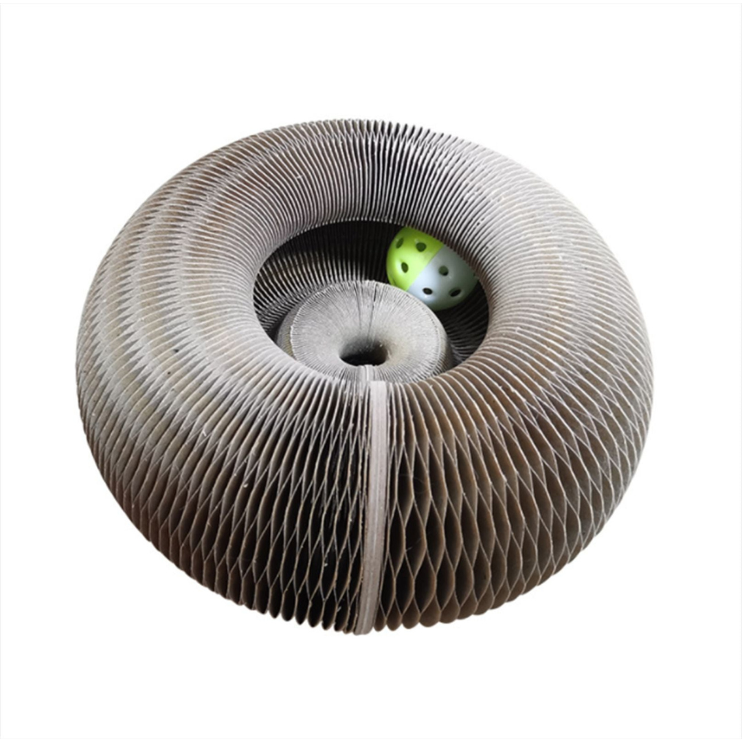 Scratch And Ball Toy