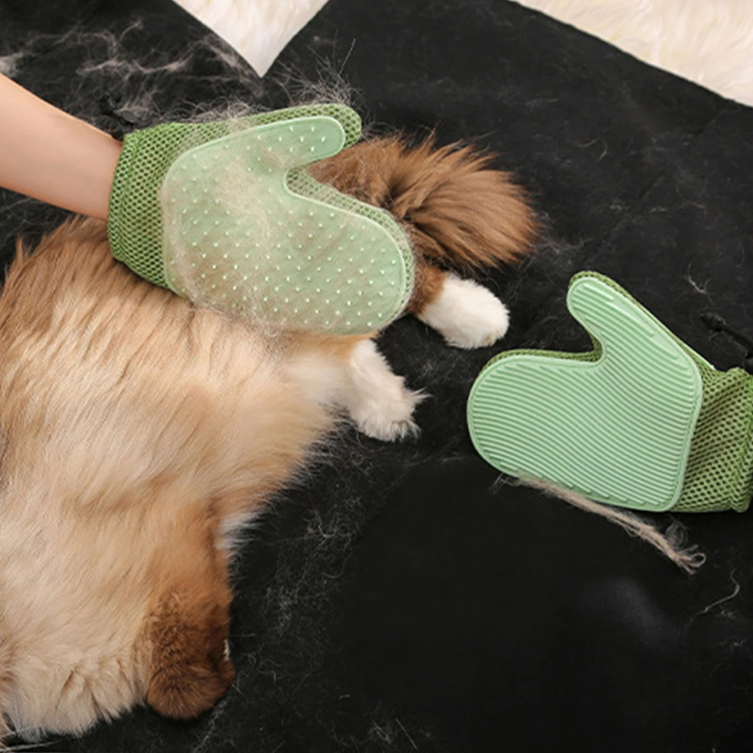 2-in-1 Grooming Glove