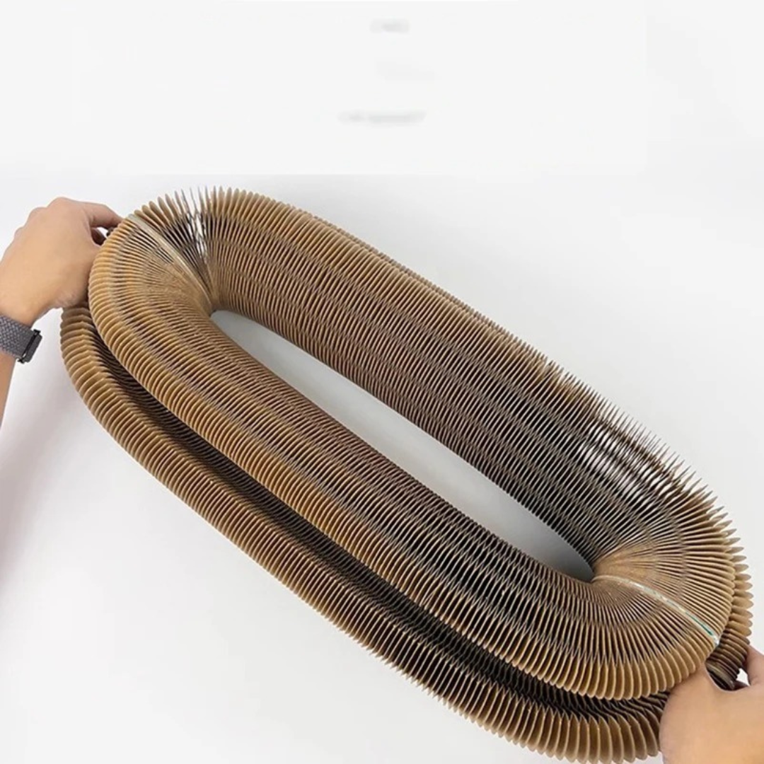 Scratch And Ball Toy