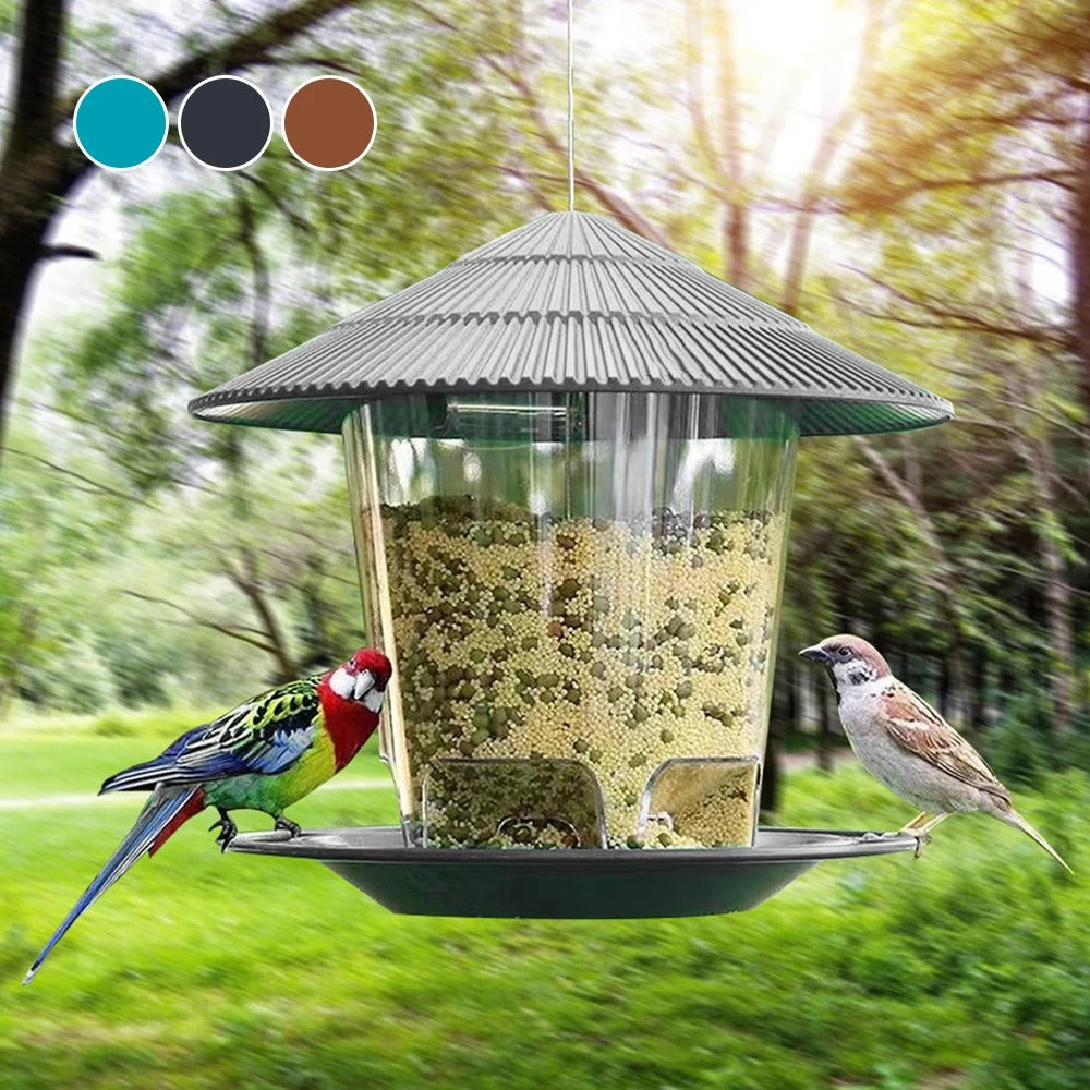 Automatic Outdoor Bird feeder