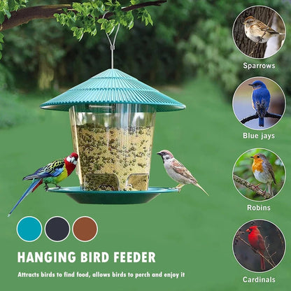 Automatic Outdoor Bird feeder