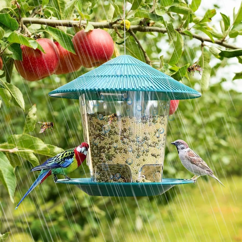 Automatic Outdoor Bird feeder
