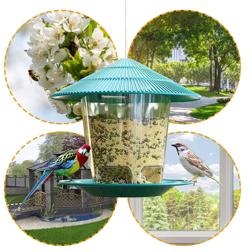 Automatic Outdoor Bird feeder