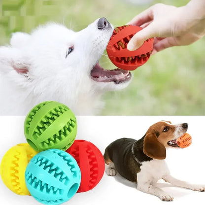 Treat Chew Ball