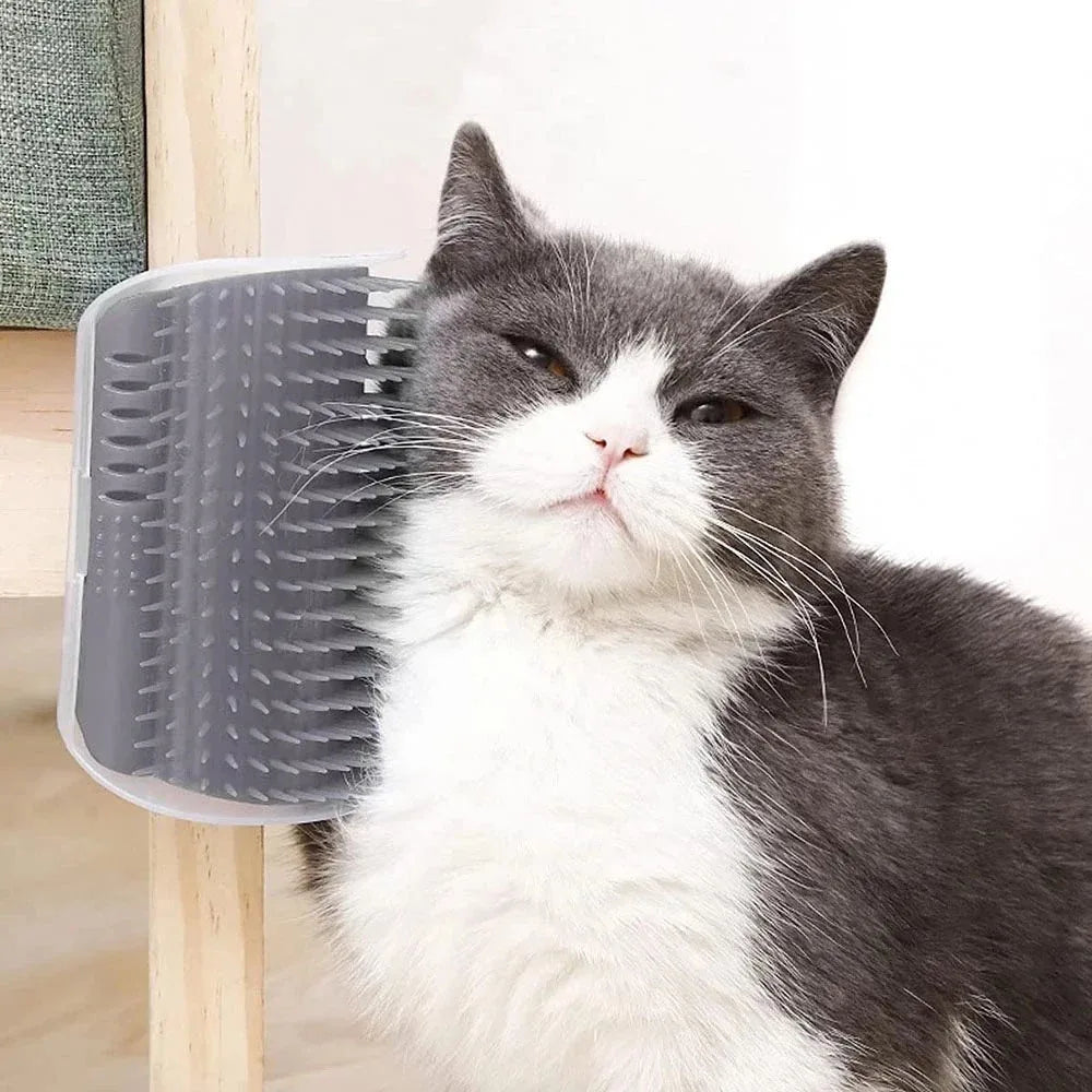Catnip Wall Brush