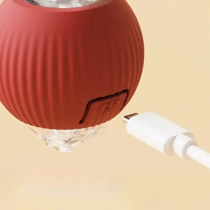 Interactive Dog Toy Ball