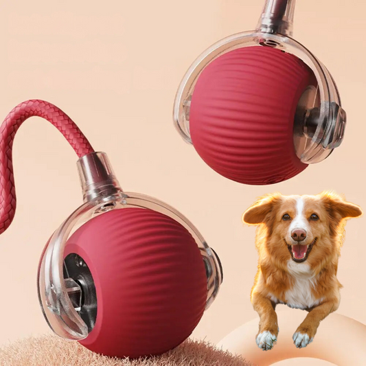 Interactive Dog Toy Ball