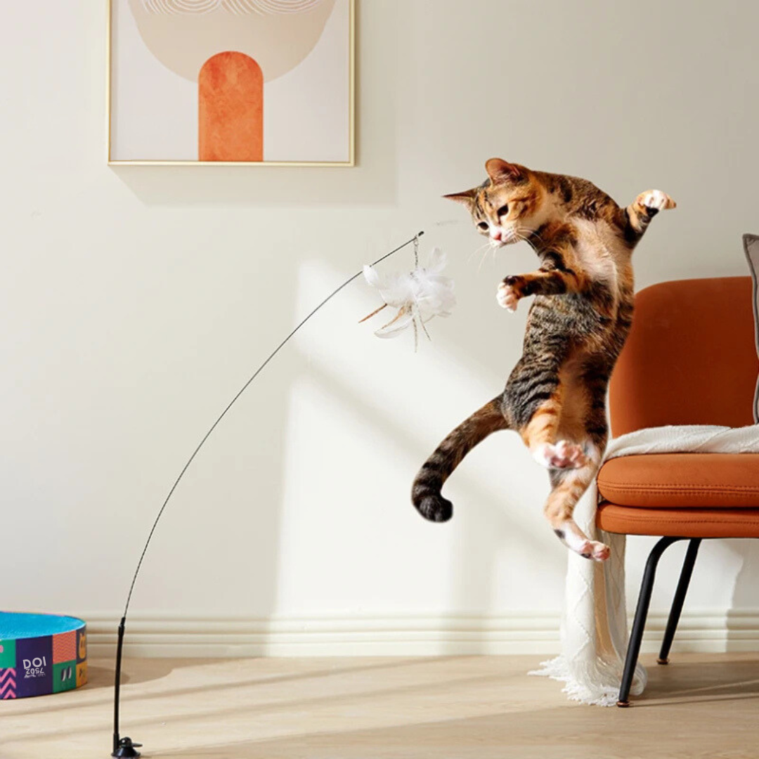 Interactive Cat Toy